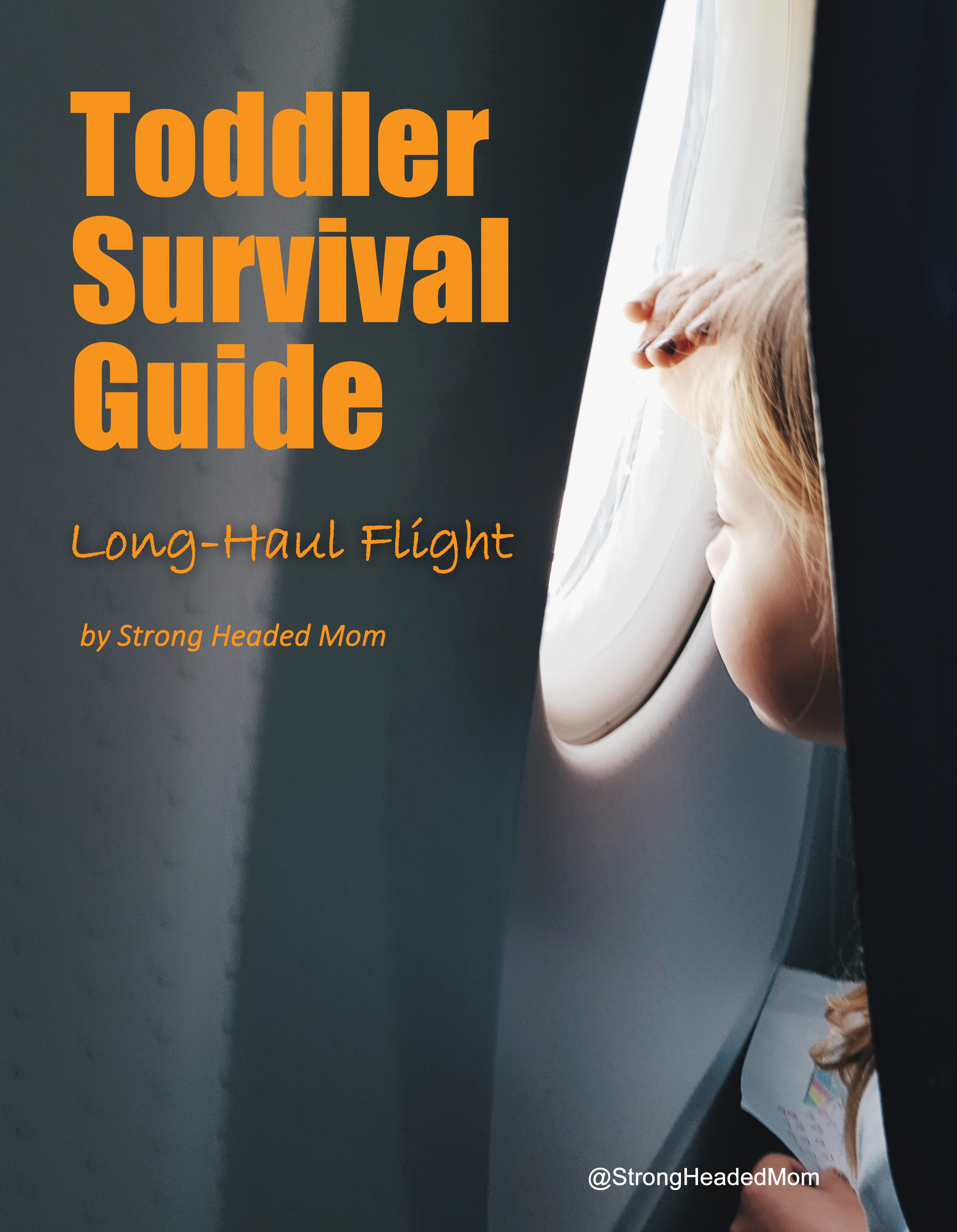 Toddler survival guide long haul flight